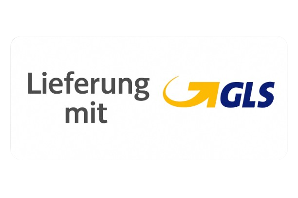 Paketzustellung mit GLS